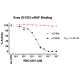 Kras (G12C)/cRAF/CYPA/Inhibitor Assay Kit